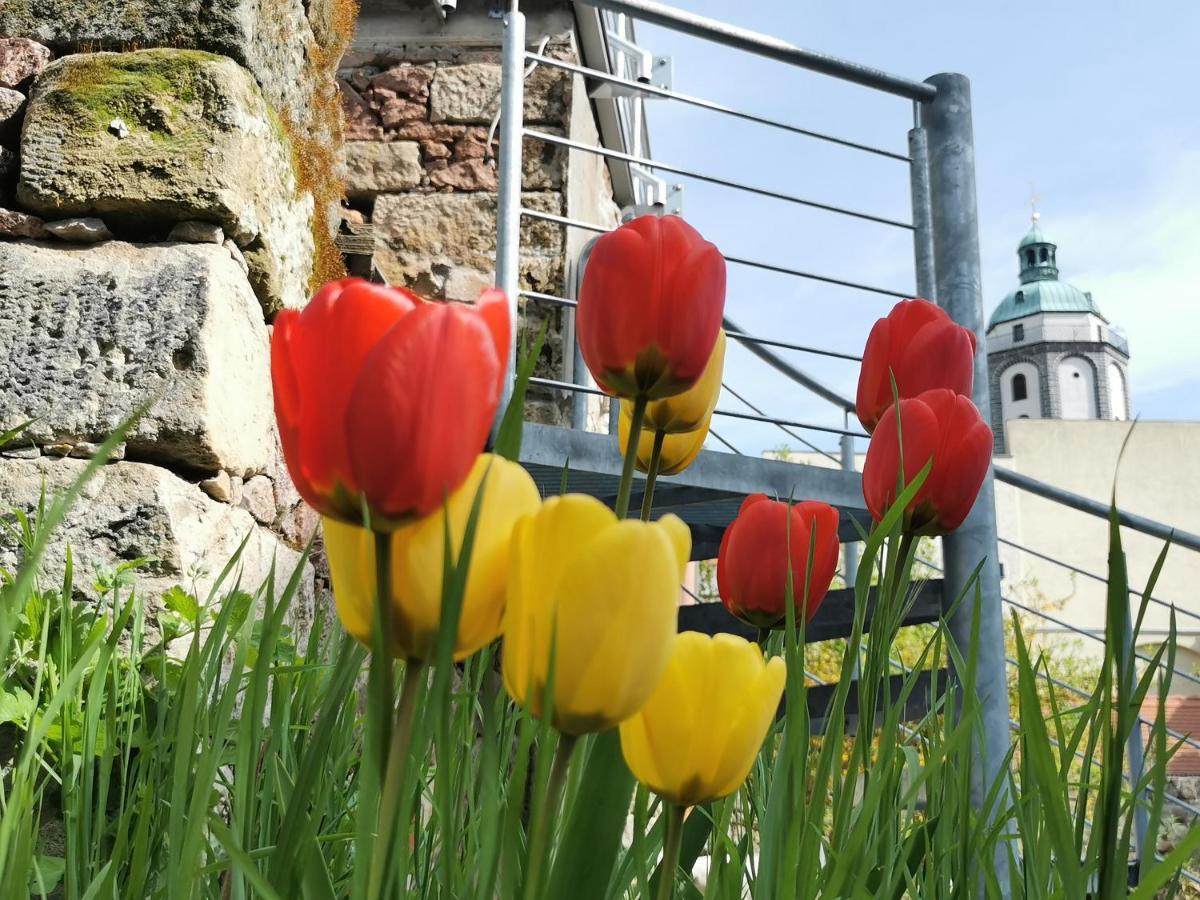 Fynbos Studio DG in der Altstadt, Frauenkirchenblick, Parkplatz Meißen Exterior foto