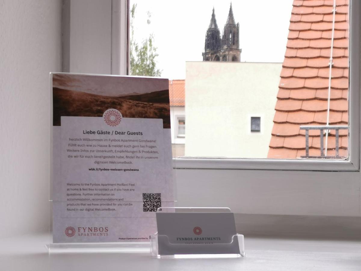 Fynbos Studio DG in der Altstadt, Frauenkirchenblick, Parkplatz Meißen Exterior foto